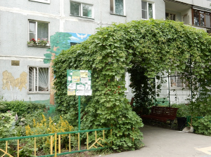 В Москве могут начать вертикальное озеленение