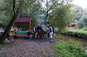Москвичам не запретят жарить шашлыки в парках на личных мангалах 