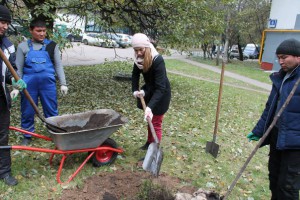 В районе Чертаново Южное прошла акция «Миллион деревьев» при участии молодежной палаты