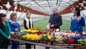 Мэр Москвы Сергей Собянин побывал с визитом в Измайловском совхозе декоративного садоводства