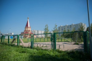 Площадка для выгула собак в парке в пойме реки Городни)