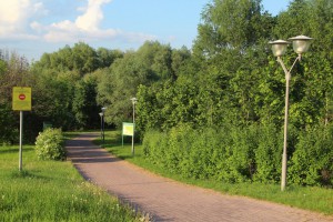 Для москвичей в Южном округе открыты различные парки и зоны отдыха