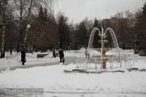 Жители района узнают о зимующих в России птицах