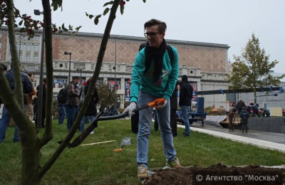 "Активные граждане" украсили "Мою улицу" деревьями и кустарниками