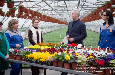 Мэр Москвы Сергей Собянин побывал с визитом в Измайловском совхозе декоративного садоводства