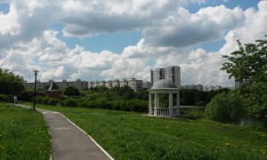 В районе Чертаново Южное спилили сухие деревья и сломанные ветки