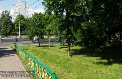 Озеленение в районе Чертаново Южное