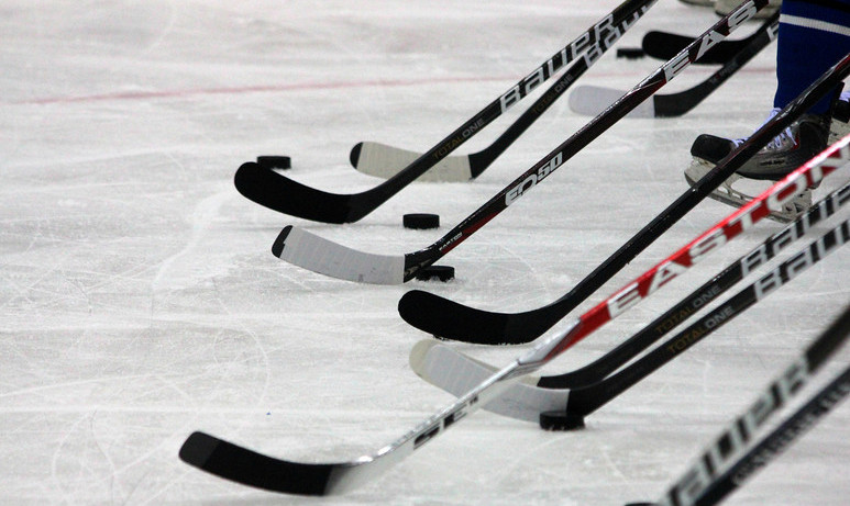 Спортивные соревнования по хоккею пройдут в Чертанове Южном