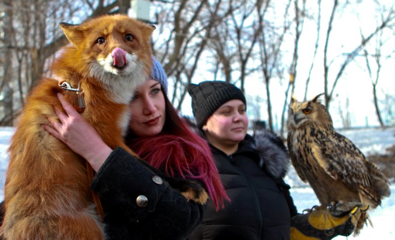Фестиваль любителей лис и сов пройдет в Покровском парке