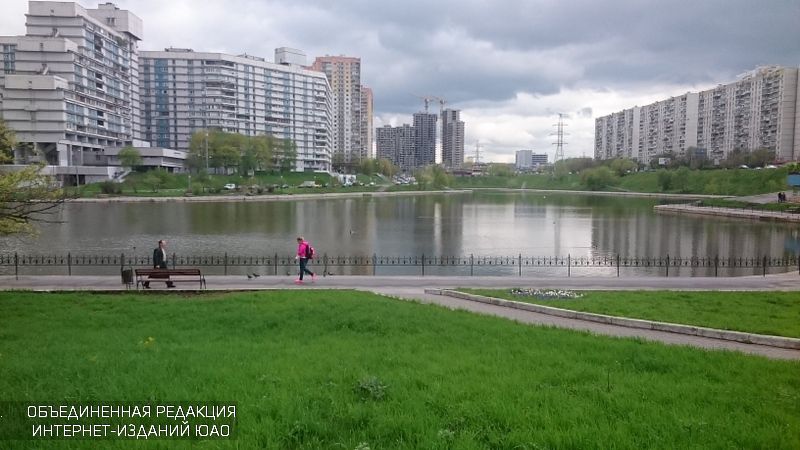 Большой чертановский пруд фото