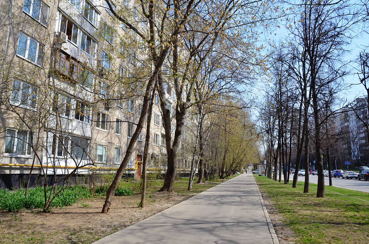 После драки в московской школе проведут проверку. Фото: Анна Быкова, «Вечерняя Москва»