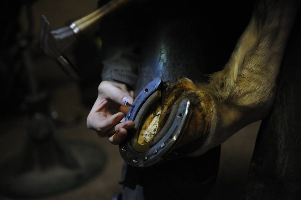 Новые экспонаты предоставили музею школы №504. Фото: Игорь Генералов, «Вечерняя Москва»