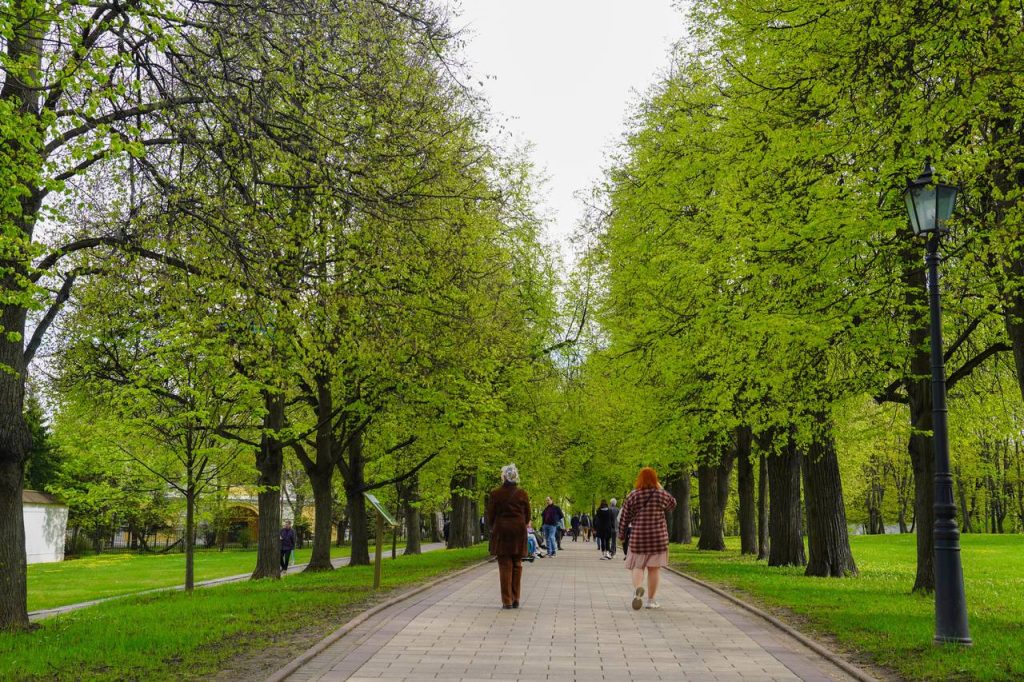 Концерт «Летний вернисаж» пройдет в Чертанове Южном. Фото: Ксения Догонашева, «Вечерняя Москва»
