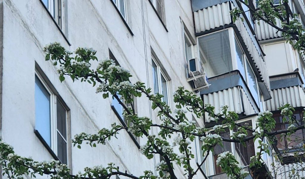 Обход территории провели в Чертаново Южном. Фото: Алина Моисеенко, «Вечерняя Москва»