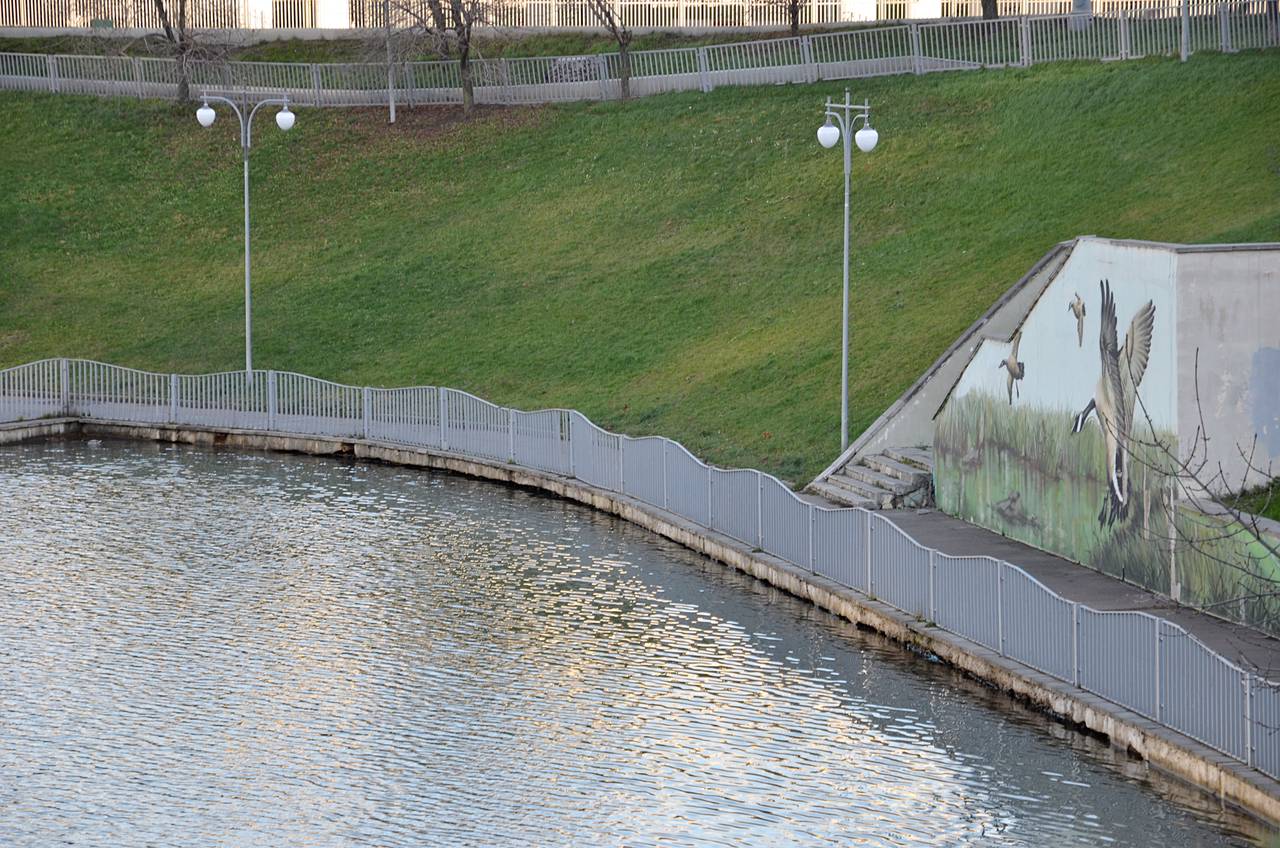 «Разноцветное лето»: в Чертанове Южном проведут концертную программу. Фото: Анна Быкова, «Вечерняя Москва»