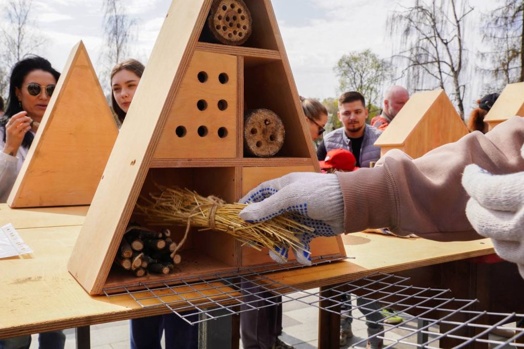 Комплексное мероприятие «Доброта спасет мир» состоится в районе Чертаново Южное. Фото: Ксения Догонашева, «Вечерняя Москва»