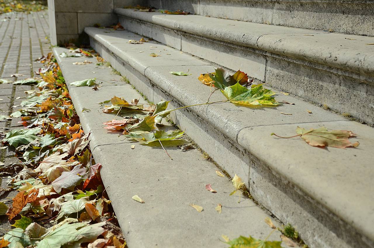 Обход территории провел глава управы Чертанова Южного. Фото: Анна Быкова, «Вечерняя Москва»