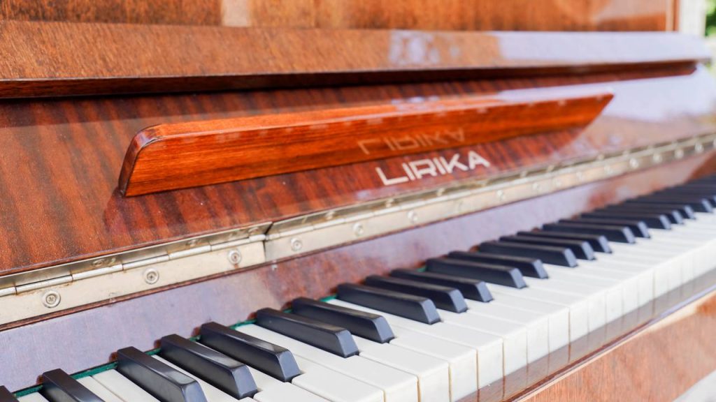 Концерт «Гнесинские виртуозы» состоится в КЦ «Маяк». Фото: Ксения Догонашева, «Вечерняя Москва»