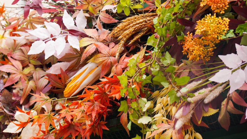 Обход территории провел глава управы Чертанова Южного. Фото: Ксения Догонашева, «Вечерняя Москва»