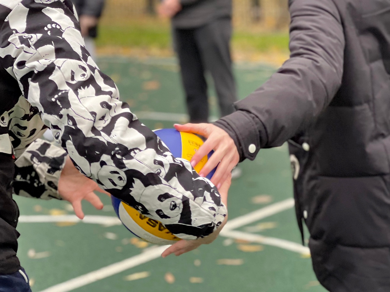 Фестиваль здоровья завершили в МГУСиТе. Фото: официальная страница Московского государственного университета спорта и туризма в социальных сетях
