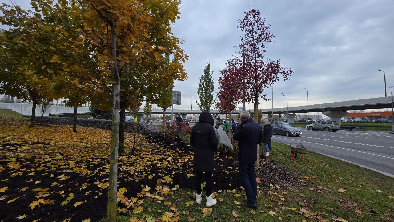 Глава муниципального округа Чертаново Южное проконтролировал благоустройство въездной группы. Фото: Telegram-канал Муниципального округа Чертаново Южное