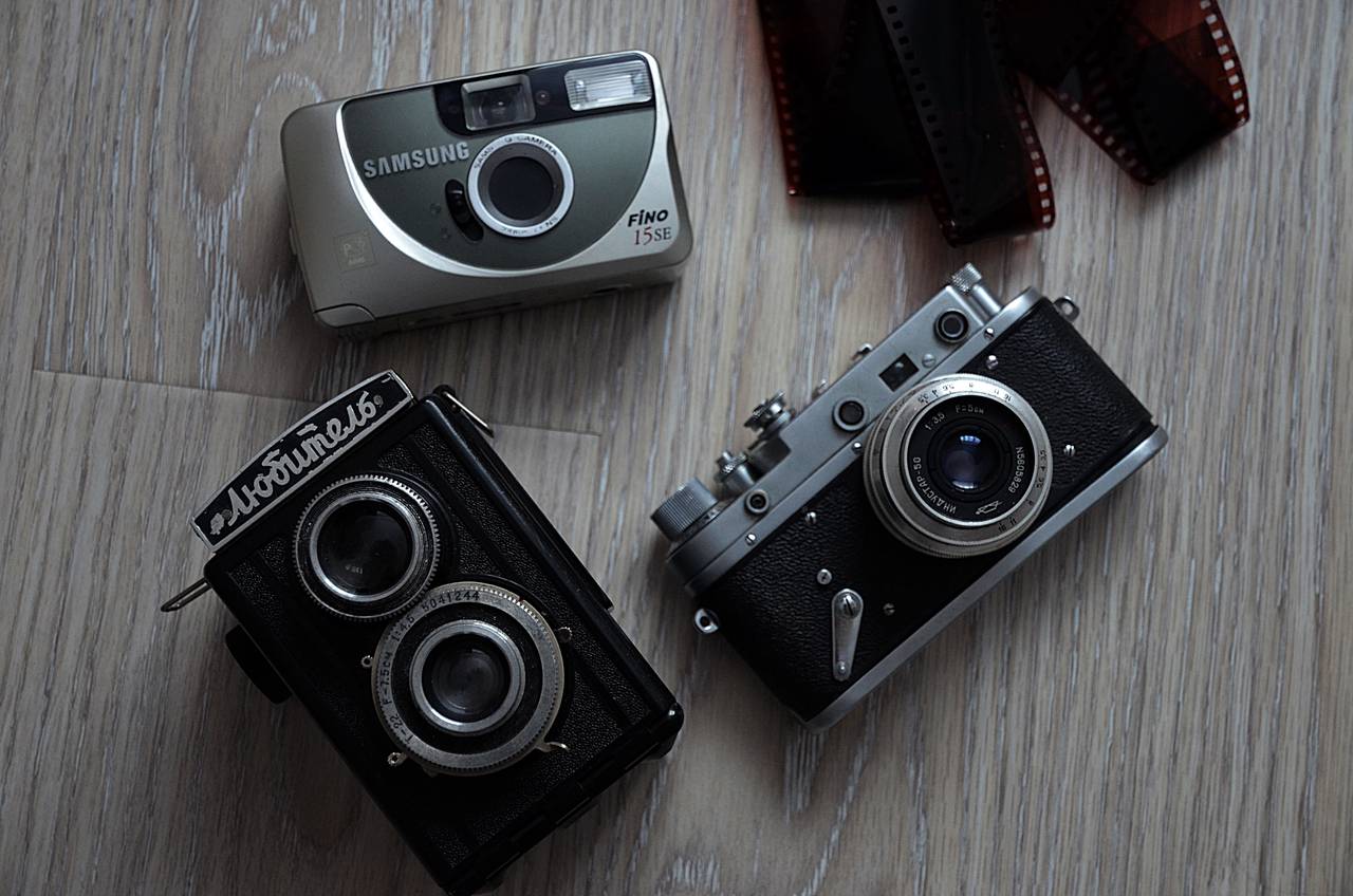 Фестиваль дикой природы «Золотая Черепаха» посетили ученики школы №1173. Фото: Анна Быкова, «Вечерняя Москва»