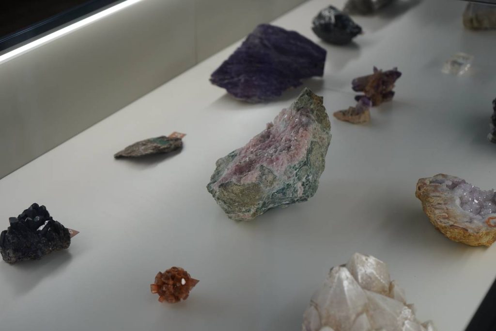 Первоклассники школы №1526 «на Покровской» посетили геологический музей. Фото: Анна Быкова, «Вечерняя Москва»