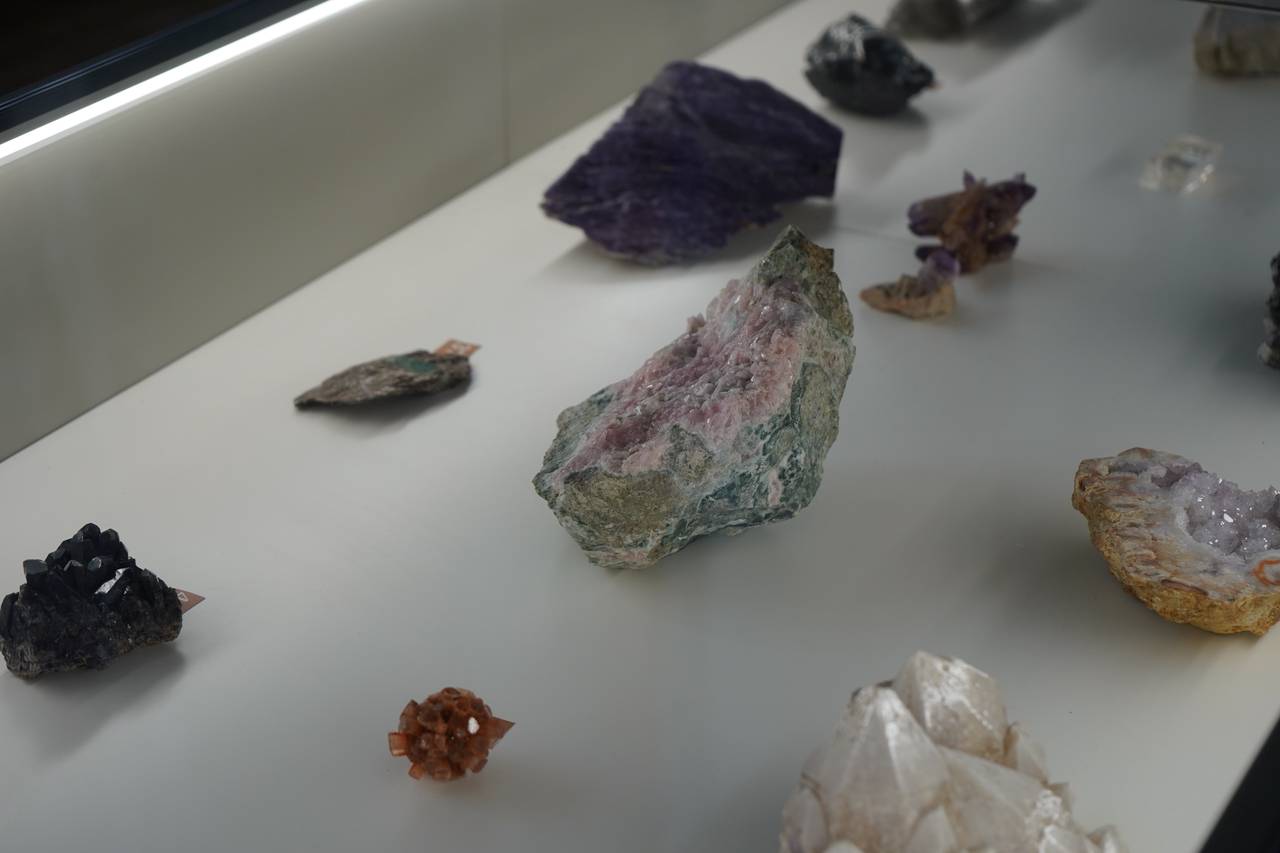 Первоклассники школы №1526 «на Покровской» посетили геологический музей. Фото: Анна Быкова, «Вечерняя Москва»