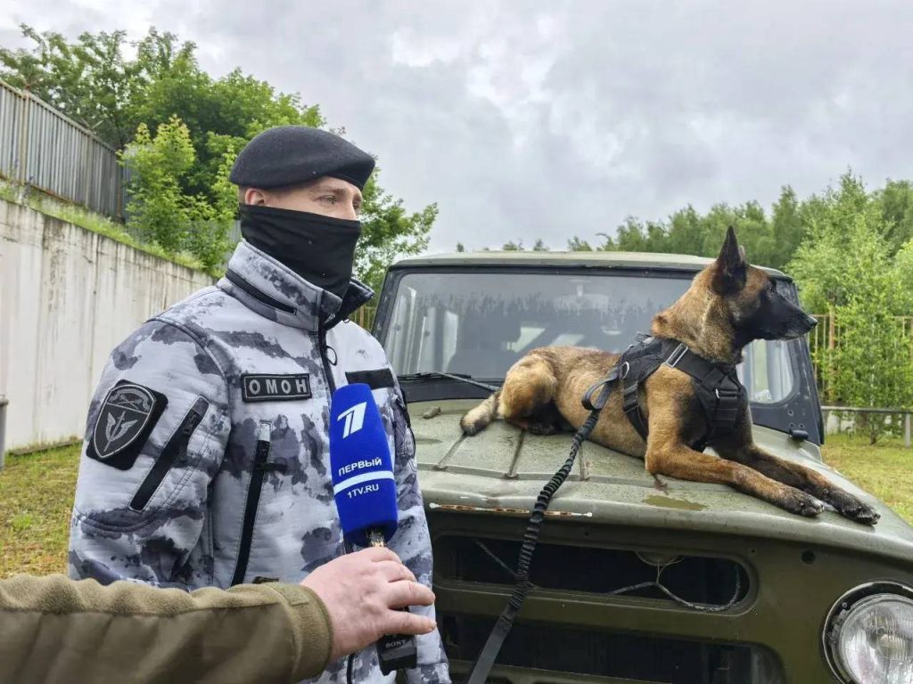 Главное управление Росгвардии по городу Москве поздравляет работников телевидения с профессиональным праздником. Фото: пресс-служба Росгвардии