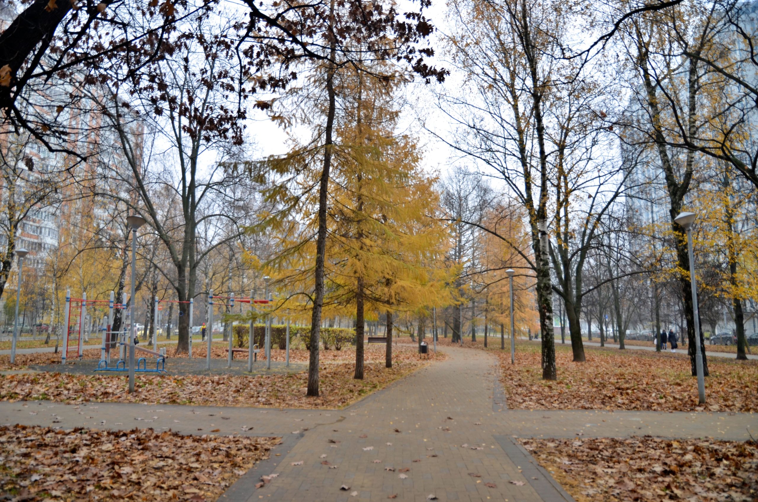 Соревнования по историческому фехтованию пройдут в Чертанове Южном. Фото: Анна Быкова, «Вечерняя Москва»