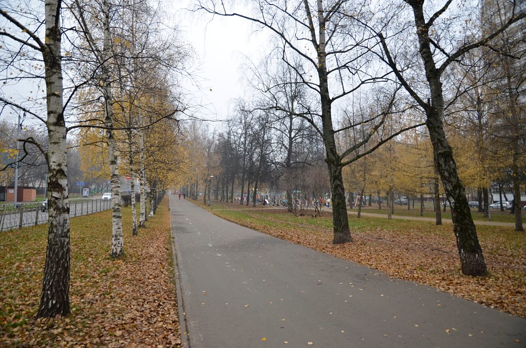 Обход провели представители управы района Чертаново Южное. Фото: Анна Быкова, «Вечерняя Москва»