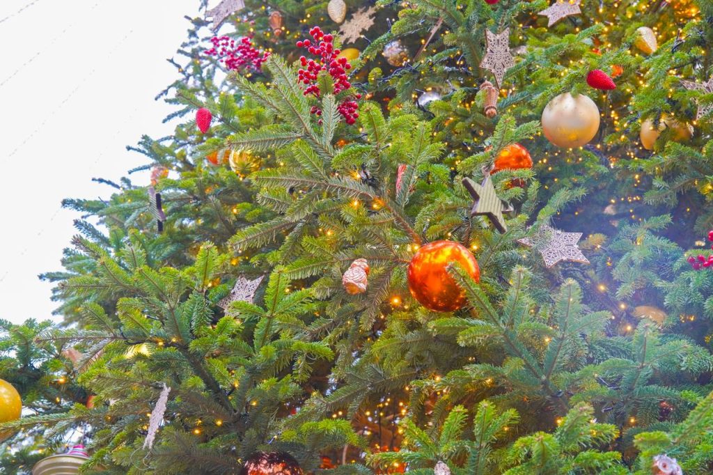 Танцевальный мастер-класс для детей состоится на катке в Чертанове Южном. Фото: Ксения Догонашева, «Вечерняя Москва»