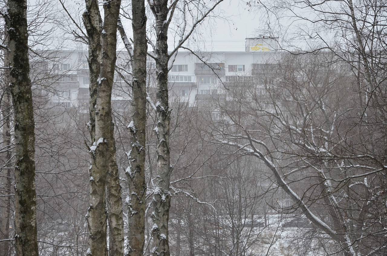 Глава управы Чертанова Южного проведет обход территории. Фото: Анна Быкова, «Вечерняя Москва»