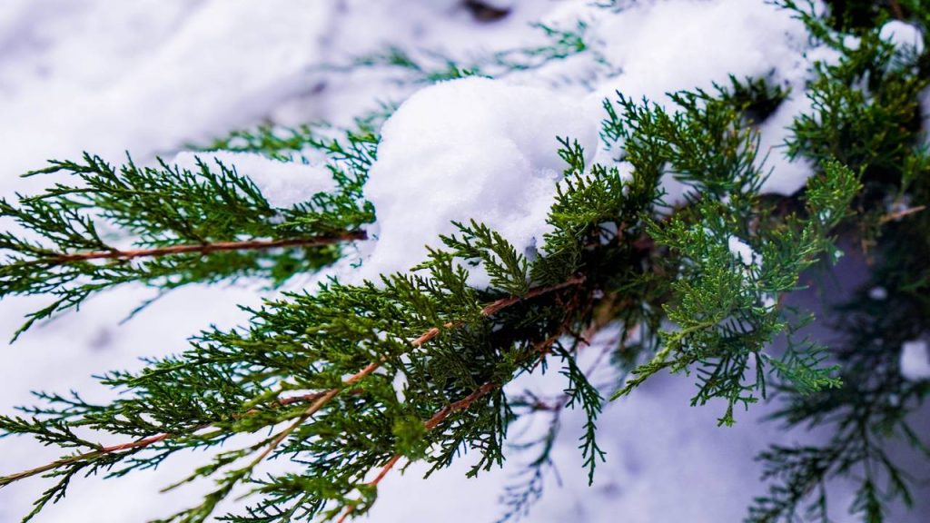 Мероприятие «Спортивный Лабиринт» пройдет в Чертанове Южном. Фото: Ксения Догонашева, «Вечерняя Москва»