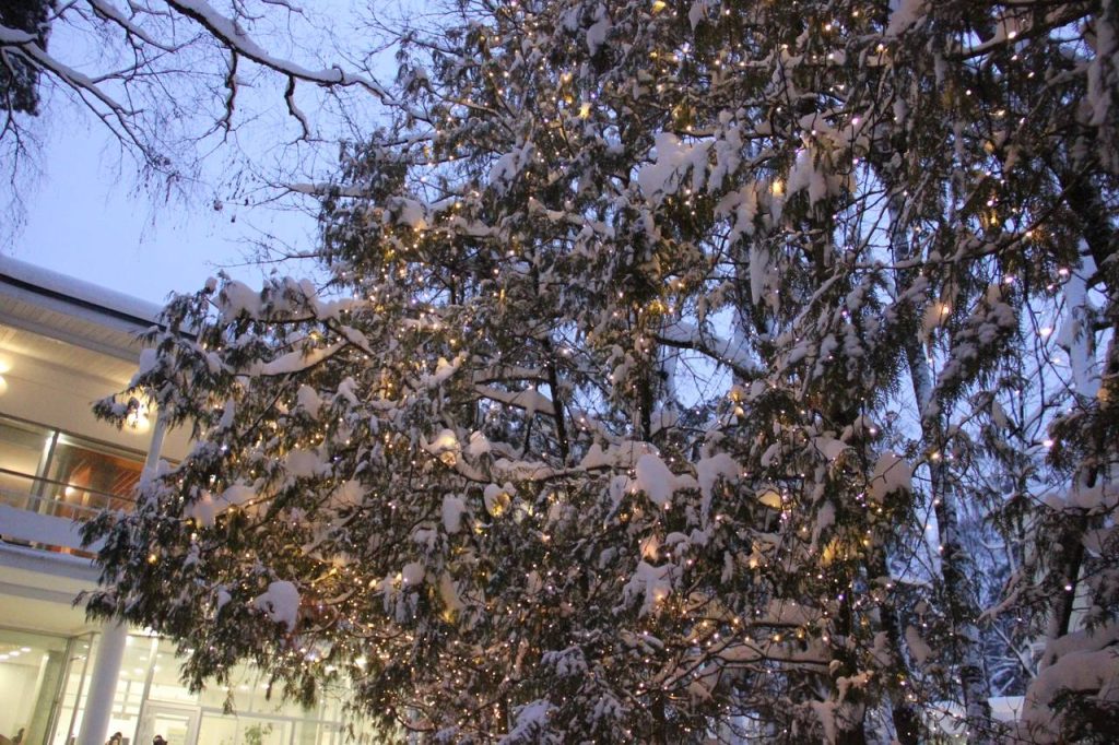 Глава управы Чертанова Южного провел плановый обход территории. Фото: Татьяна Петрыкина, «Вечерняя Москва»